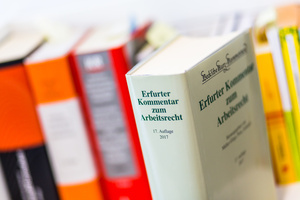Erfurter Kommentar Erfurter Kommentar